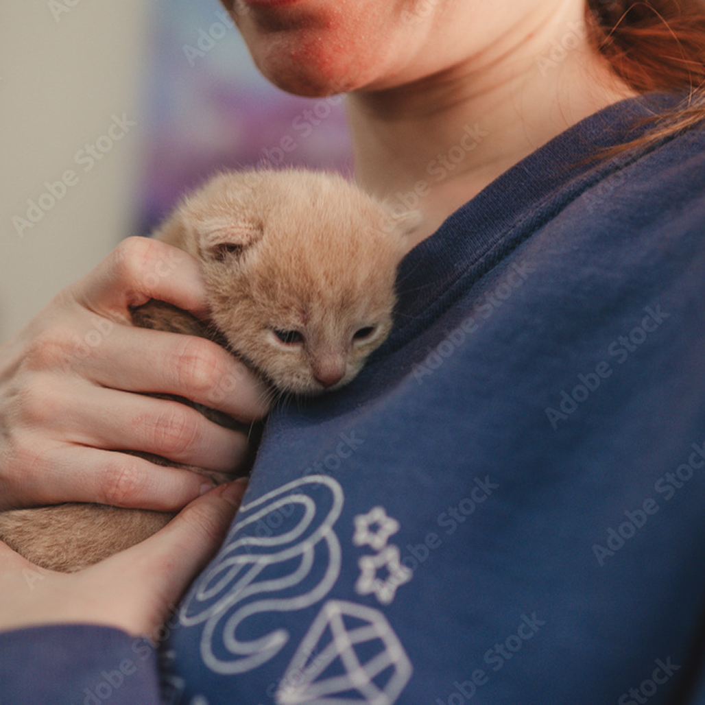 lady hugging a baby kitten